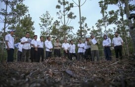 Pemerintah Klaim Tata Kelola Hutan Selaras dengan Bonn Challenge