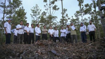 Pemerintah Klaim Tata Kelola Hutan Selaras dengan Bonn Challenge