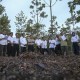 Pemerintah Klaim Tata Kelola Hutan Selaras dengan Bonn Challenge