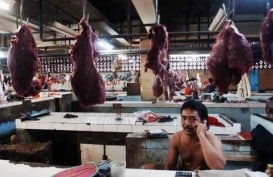 Kementan Jaga Ketersediaan Daging & Telur Jelang Ramadan