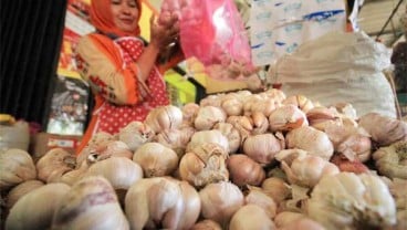 Stabilkan Harga, Bulog Mulai Distribusikan Bawang Putih