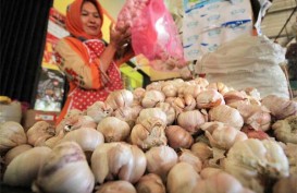 Stabilkan Harga, Bulog Mulai Distribusikan Bawang Putih