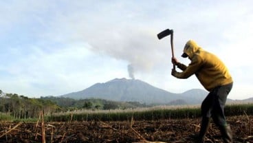 APTRI Gugat Peraturan Soal Fasilitas Memperoleh Bahan Baku Gula