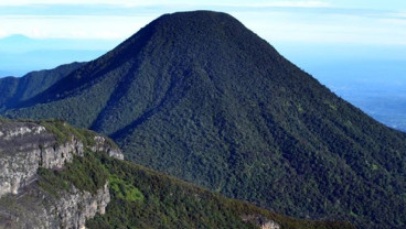 Kasus Cacing Sonari Gunung Gede: Dukungan Terhadap Didin Berdatangan
