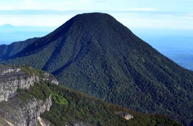 Kasus Cacing Sonari Gunung Gede: Dukungan Terhadap Didin Berdatangan