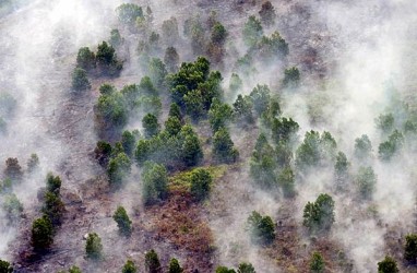 RESTORASI GAMBUT : CIFOR Kaji Efektivitas di Riau