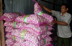Bawang Putih Melonjak, Kementan Pantau Harga Pangan di Pasar Induk