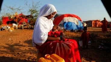 20 Juta Orang di Afrika Terancam Kelaparan