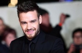 Liam Payne Sebut Lagu Harry Style Bukan Tipenya