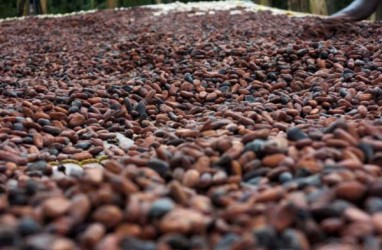 Ekspansi Pengolahan Kakao, BTEK Siapkan Belanja Modal 13 Juta Euro