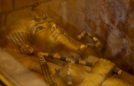 DNA Mummi Ungkap Rahasia Mesir Kuno