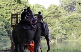 Ekowisata Berkelanjutan Solusi Pengelolaan Keanekaragaman Hayati