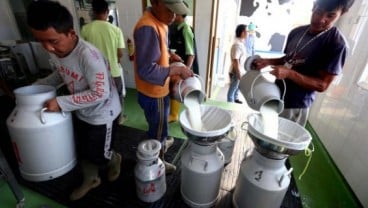 Selama 4 Dasarwarsa Produksi Susu Nasional Stagnan