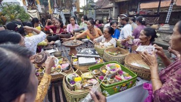 BENIH MARIGOLD : Ewindo Pacu Pasokan ke Bali