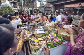 BENIH MARIGOLD : Ewindo Pacu Pasokan ke Bali