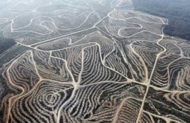 7 Hektare Lahan Sawit Milik Petani Jadi Sawah