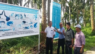 Anak Usaha Wilmar AMP Plantation Hijaukan Tepi Sungai Batang Masang