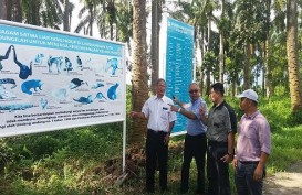 Anak Usaha Wilmar AMP Plantation Hijaukan Tepi Sungai Batang Masang