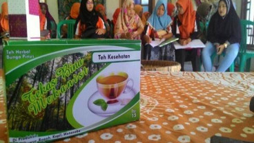 Teh Bunga Pinus Tingkatkan Imunitas Tubuh