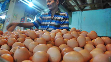 Harga Telur Ayam di Jakarta Naik