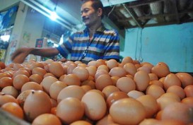 Harga Telur Ayam di Jakarta Naik