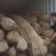 Kalbar Sita 120 Ton Rotan Ilegal Tujuan Malaysia