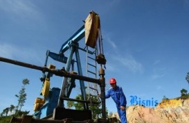Tiga Perusahaan Dipastikan Bakal Bangun Pabrik Petrokimia di Masela