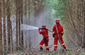 KOMITMEN PEMEGANG KONSESI HTI : Pengusaha Antisipasi Kebakaran Lahan