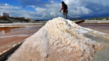 INDUSTRI GARAM : Peningkatan Investasi Jadi Jalan Keluar