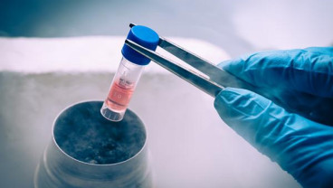 STEM CELL : Manfaat Sel Darah Tali Pusat untuk Kesehatan