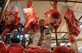 Badan Karantina Sidak Gudang Daging di Jakarta Timur