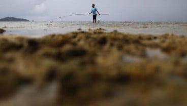 Dukung Perikanan, PLN Pasok Listrik di 12 Pulau Kecil Terluar