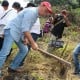 Gandeng Taman Eden, Toba Pulp Lestari Kembangkan Andaliman