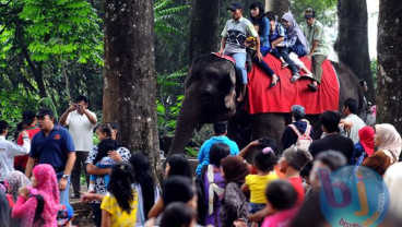 Sambut Lebaran, Kebun Binatang Bandung Berbenah