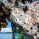 Ini Alasan Gambar Cadas Tak Ada di Pulau Jawa