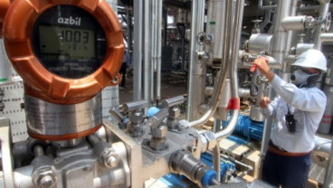 SEKTOR PETROKIMIA: Pembangunan Industri Mendesak
