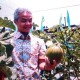 Gubernur Jateng Akan Salat Id di Luar Semarang, Ini Alasannya