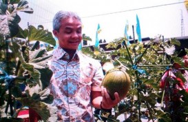 Gubernur Jateng Akan Salat Id di Luar Semarang, Ini Alasannya