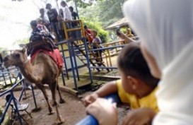 Pengunjung Kebun Binatang Bandung Melonjak 100%
