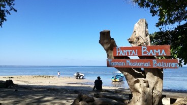 Menikmati Kesenyapan Pantai Bama Taman Nasional Baluran