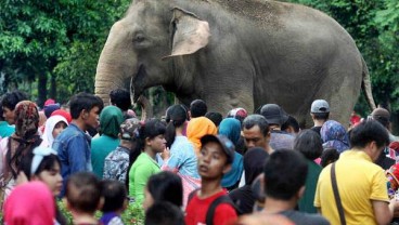 Pengunjung Ragunan Mulai Padat, Polisi Rekayasa Lalu Lintas