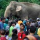 Pengunjung Ragunan Mulai Padat, Polisi Rekayasa Lalu Lintas