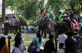 Libur Lebaran, Kebun Binatang Surabaya Dikunjungi 60.000 Wisatawan