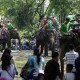 Libur Lebaran, Kebun Binatang Surabaya Dikunjungi 60.000 Wisatawan