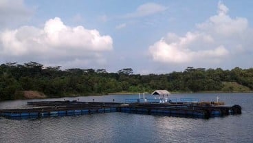 Telaga Batu Arang, Telaga Cantik di Bekas Tambang Batu Bara Kaltim Prima Coal