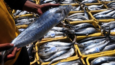 Konsumsi Ikan di Jabar Masih Rendah