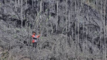 Begini Kondisi Terakhir Kawah Sileri Dieng