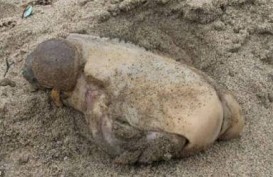 Ditemukan Makhluk Aneh dan Misterius di Tepi Pantai