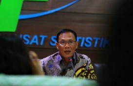 Ini Kesulitan BPS Mendata Para Pelaku Kreatif