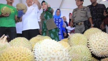 Festival Kuliner Medan 2017, Dengan Rp60.000 Bisa Makan Durian Sepuasnya